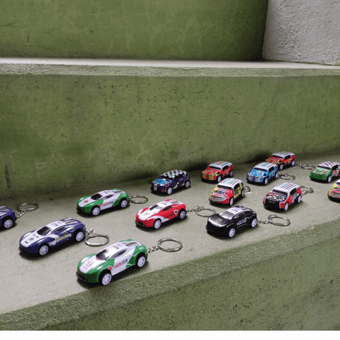 Car Key Chain