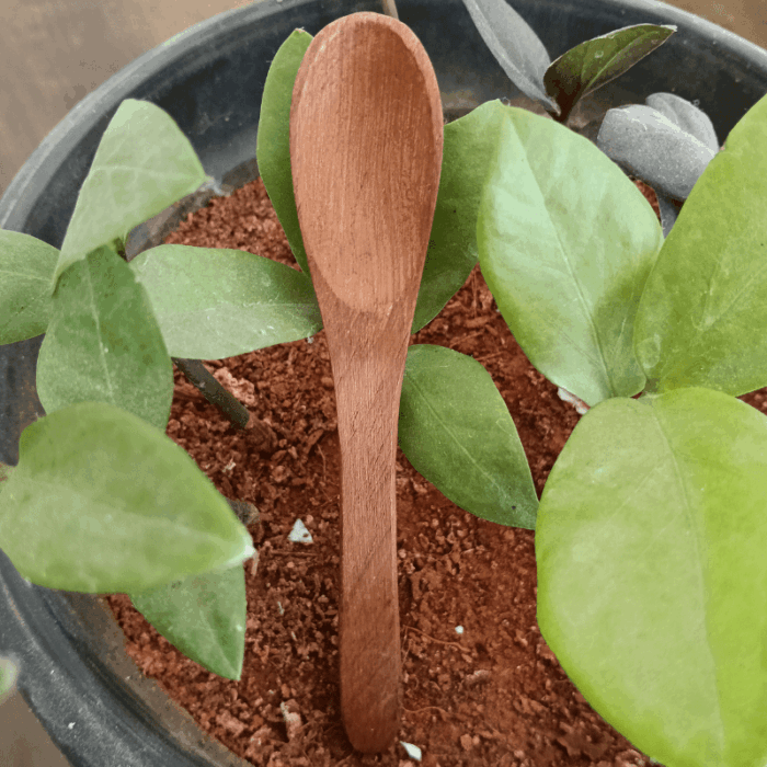 Spoon