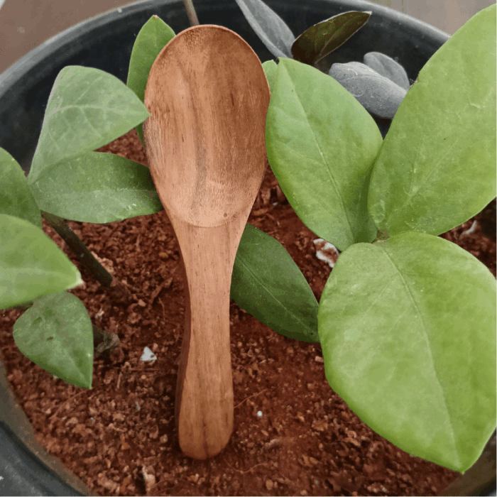 spoon
