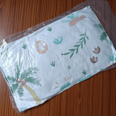Vaccum Pillow