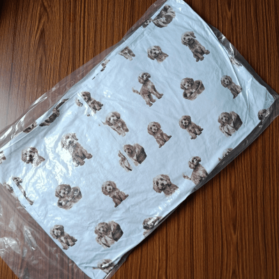 Vaccum Pillow