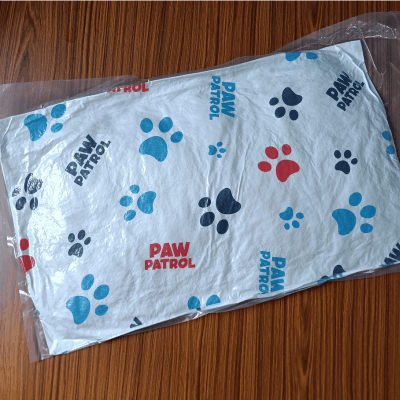 Vaccum Pillow